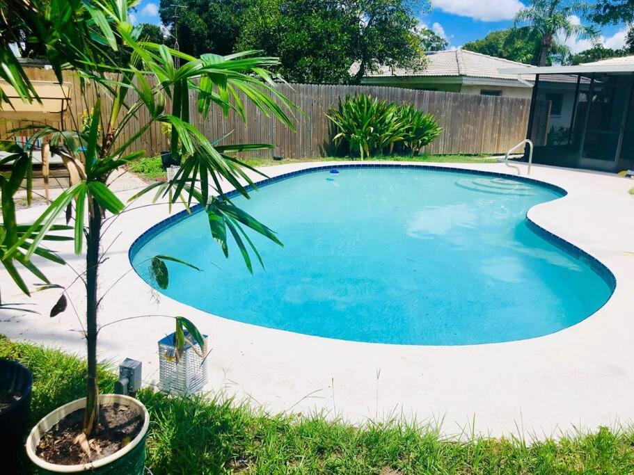 Paradise Hideaway Entire Guest Home Near Beach Clearwater Exteriör bild